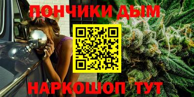 скорость Дубна