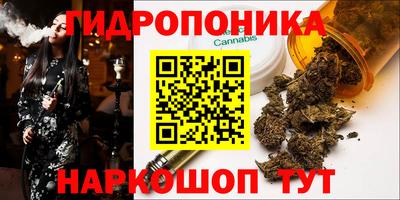 скорость Дубна