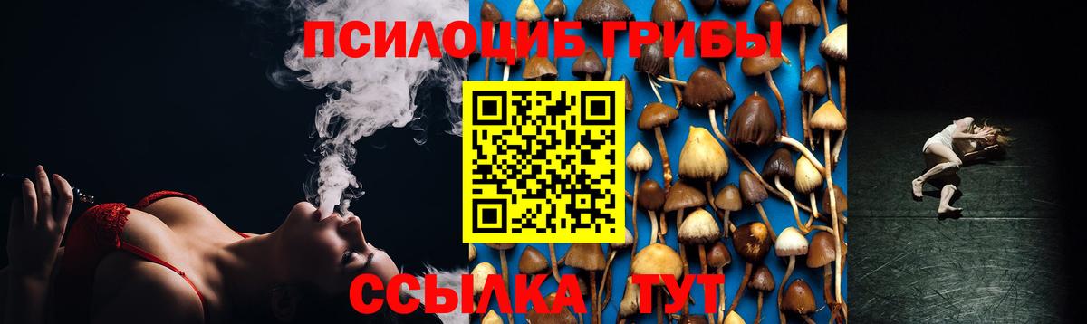Псилоцибиновые грибы MAGIC MUSHROOMS Лесной
