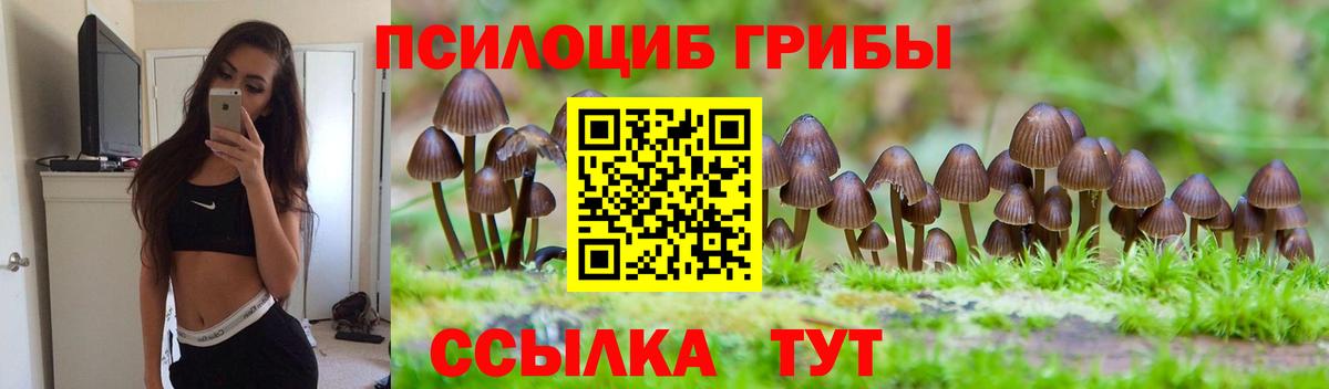 Галлюциногенные грибы ЛСД  Вход с VPN  Лесной 