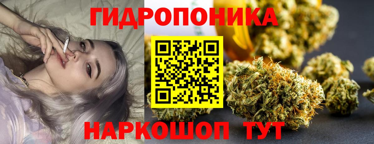 Марихуана семена Лесной