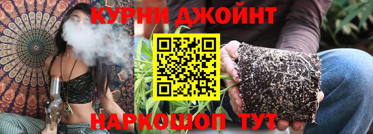 Канабис тримм  Вход с VPN  Лесной  Шишки марихуана OG Kush  Шишки марихуана VHQ  Канабис VHQ 